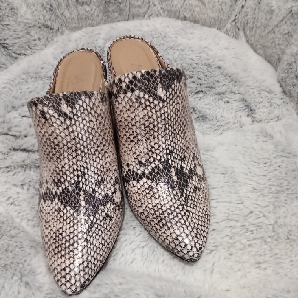 Able Snake Print Mules in Black and Cream